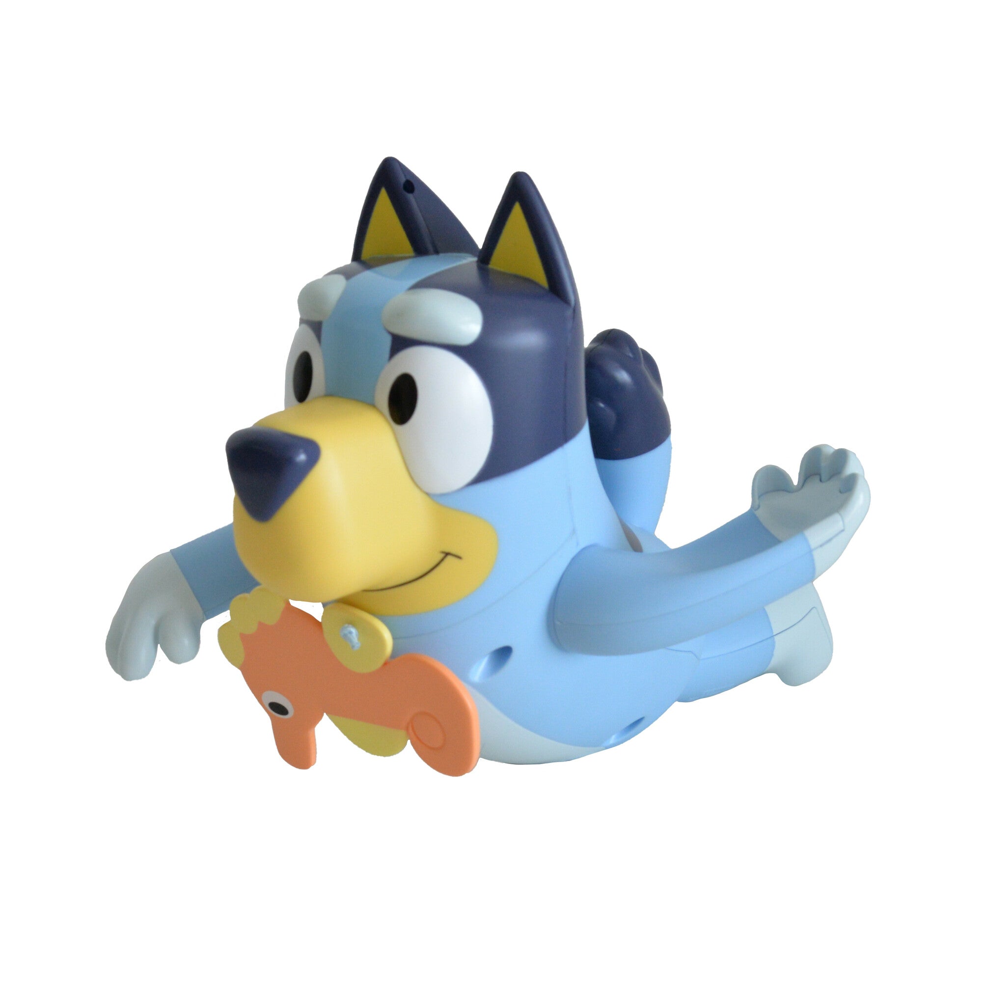 Bluey Swimmer