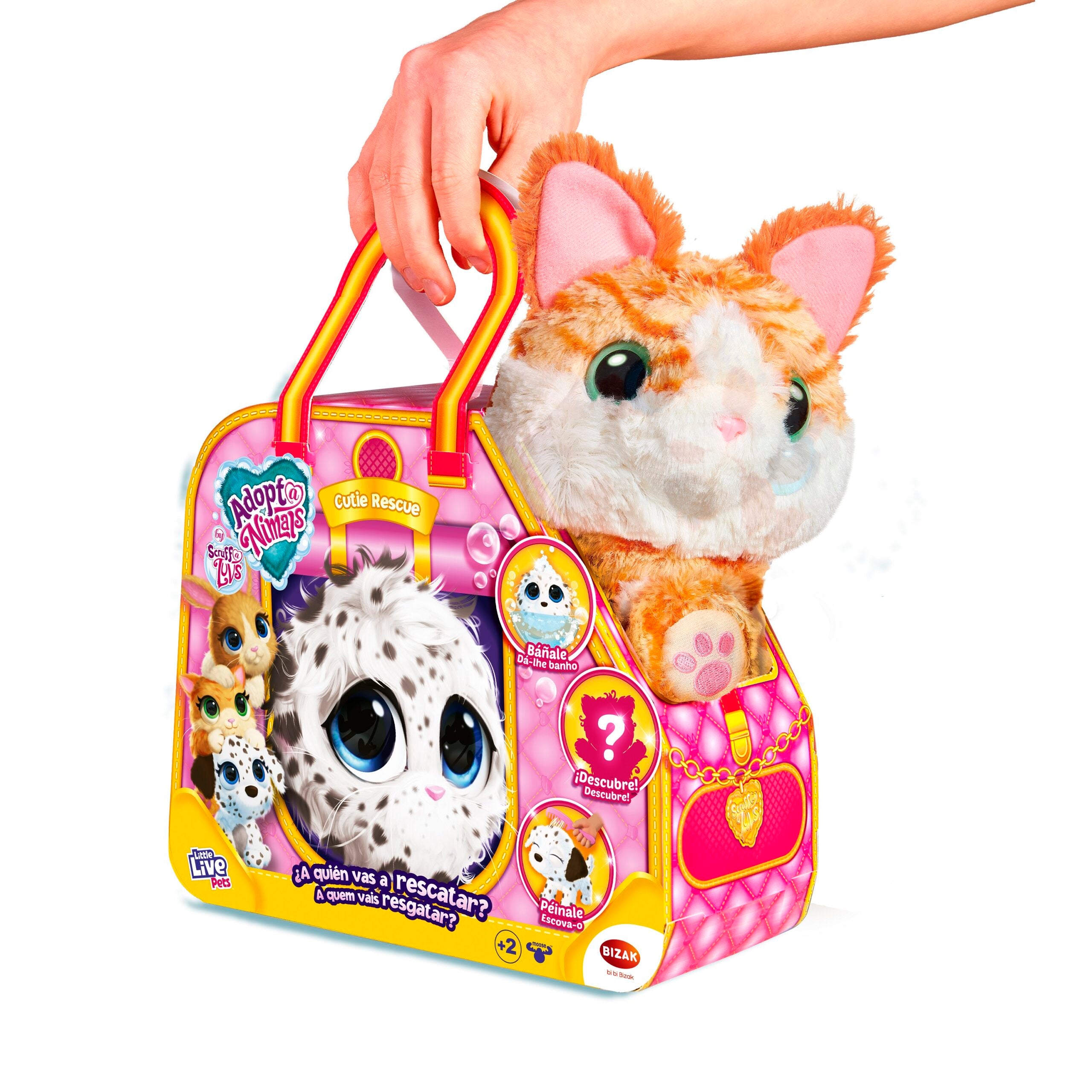 Adoptanimals - Treat and Care for Your Pet